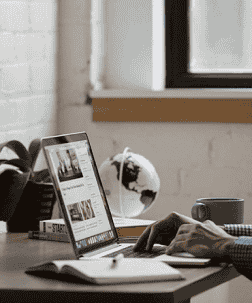 Software Development