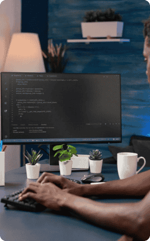 Software Development